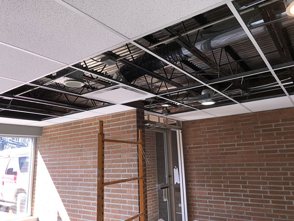 bc50eed8-0603-421f-8352-8423de3f31e9